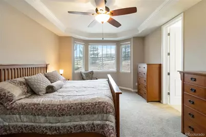 2724 Rising Moon Way, Castle Rock, CO 80109 - Photo 21