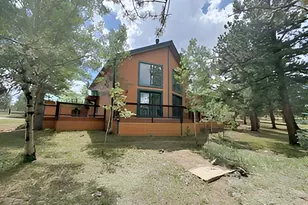607 Clark Rd, Bailey, CO 80421 - Photo 27