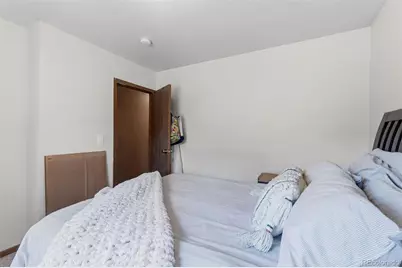 101 S Maple Street, Leadville, CO 80461 - Photo 33