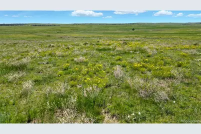 Parcel #3B County Road 91, Ramah, CO 80832 - Photo 27