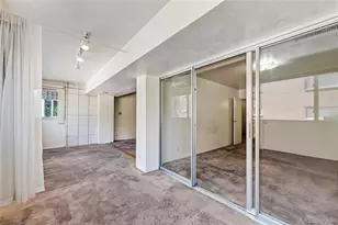 1223 Race St, Denver, CO 80206 - Photo 13