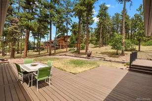 4751 Red Rock Dr, Larkspur, CO 80118 - Photo 37