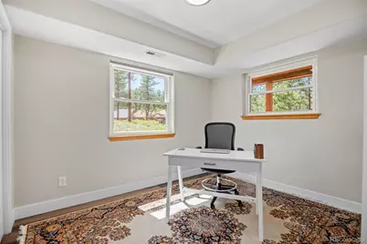 43 Crystal Rock Road, Bailey, CO 80421 - Photo 17