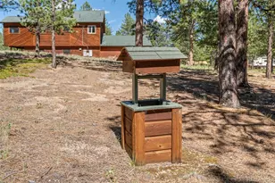 43 Crystal Rock Rd, Bailey, CO 80421 - Photo 25