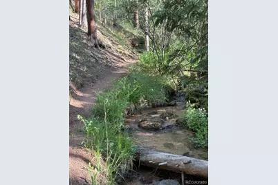 43 Crystal Rock Road, Bailey, CO 80421 - Photo 47