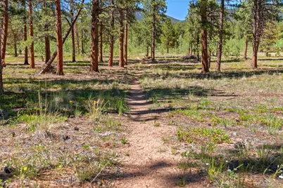 43 Crystal Rock Road, Bailey, CO 80421 - Photo 27
