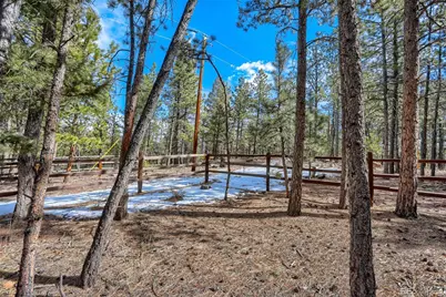 249 Territory Drive, Pine, CO 80470 - Photo 5