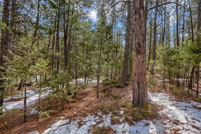 249 Territory Drive, Pine, CO 80470 - Photo 3