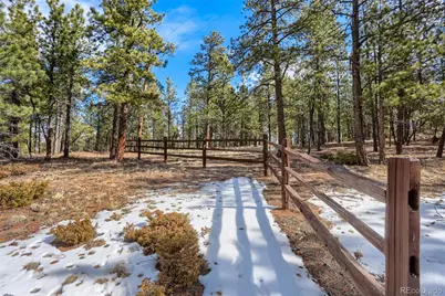 249 Territory Drive, Pine, CO 80470 - Photo 7