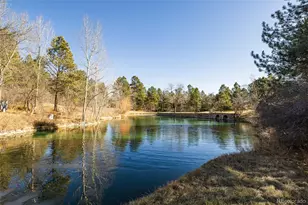 36 Castle Pines Dr, Castle Rock, CO 80108 - Photo 45