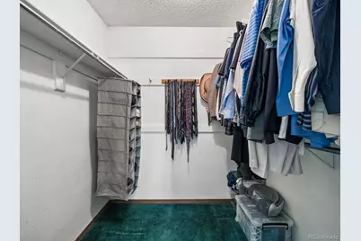 7981 S Cedar Street, Littleton, CO 80120 - Photo 19