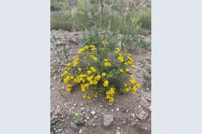 2179 Music Mountain Drive, Westcliffe, CO 81252 - Photo 31