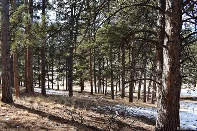 000 6th Street, Guffey, CO 80820 - Photo 17