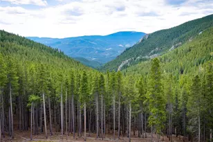 76 Raven Rdg Rd, Idaho Springs, CO 80452 - Photo 43