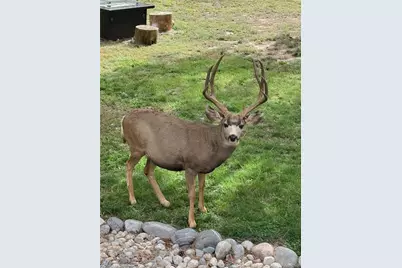 670 Independence Drive, Larkspur, CO 80118 - Photo 43