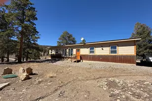 909 Pitchfork Rd, Hartsel, CO 80449 - Photo 3