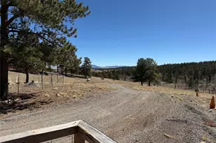 909 Pitchfork Rd, Hartsel, CO 80449 - Photo 35