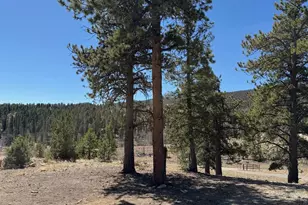 909 Pitchfork Rd, Hartsel, CO 80449 - Photo 21