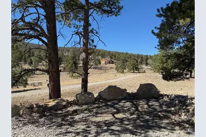 909 Pitchfork Road, Hartsel, CO 80449 - Photo 37