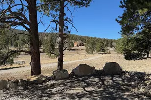 909 Pitchfork Rd, Hartsel, CO 80449 - Photo 37