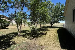 2504 Haskell Pl, Watkins, CO 80137 - Photo 29