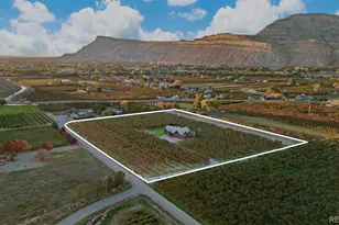 3875 F 3/4 Rd, Palisade, CO 81526 - Photo 39