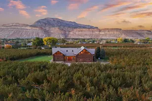 3875 F 3/4 Rd, Palisade, CO 81526 - Photo 35