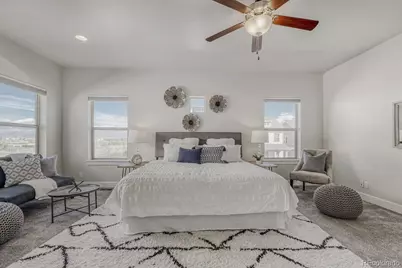 2861 Lima Street, Denver, CO 80238 - Photo 9