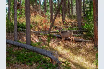 Lot 216620 Indian Springs Road, Conifer, CO 80433 - Photo 1