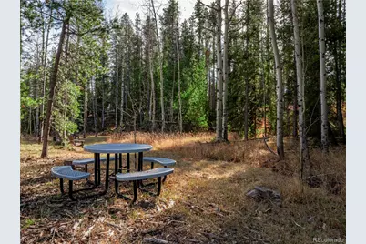 Lot 216620 Indian Springs Road, Conifer, CO 80433 - Photo 11
