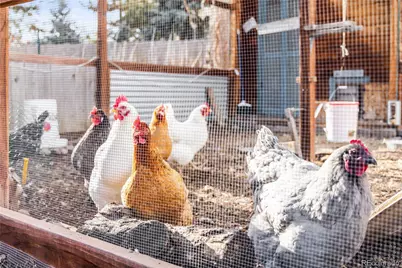 1712 Stonehenge Drive, Lafayette, CO 80026 - Photo 37