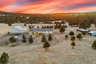 18250 Smokey Pine Rd, Peyton, CO 80831 - Photo 7