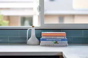 1585 S Elm St, Denver, CO 80222 - Photo 13