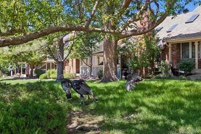 2913 W Long Circle #A, Littleton, CO 80120 - Photo 37