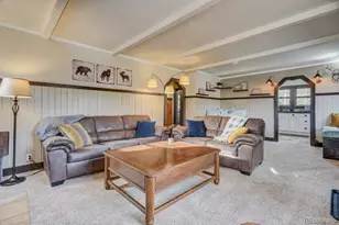 5625 Moosa Rd, Cascade, CO 80809 - Photo 9