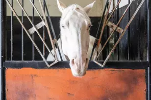 13400 Harvest Rd, Commerce City, CO 80022 - Photo 19