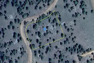 508 Ranch Resorts Dr, Florissant, CO 80816 - Photo 1