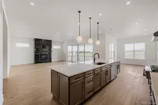 428 Agoseris Wy, Castle Rock, CO 80104 - Photo 5