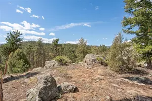 442 Ruby Forest Trail, Evergreen, CO 80439 - Photo 45