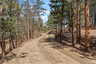 442 Ruby Forest Trail, Evergreen, CO 80439 - Photo 41