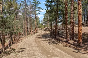 442 Ruby Forest Trail, Evergreen, CO 80439 - Photo 41