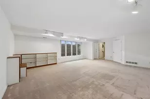 390 St Paul St, Denver, CO 80206 - Photo 35