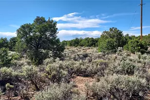 Stevenson, San Luis, CO 81152 - Photo 1