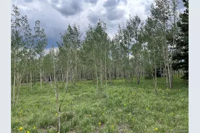 01 Alps Hill Road, Central City, CO 80427 - Photo 25
