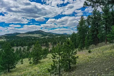 1259 County Rd 122, Guffey, CO 80820 - Photo 15