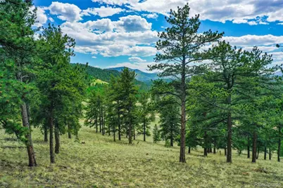 1259 County Rd 122, Guffey, CO 80820 - Photo 25