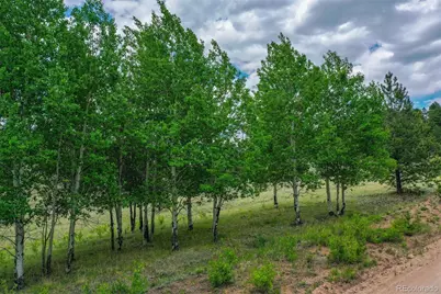 1259 County Rd 122, Guffey, CO 80820 - Photo 31