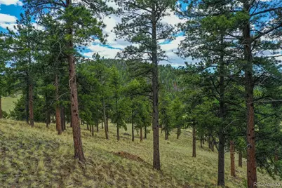 1259 County Rd 122, Guffey, CO 80820 - Photo 17