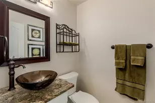 9593 Painted Canyon Cir, Highlands Ranch, CO 80129 - Photo 19