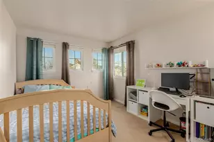 9593 Painted Canyon Cir, Highlands Ranch, CO 80129 - Photo 27